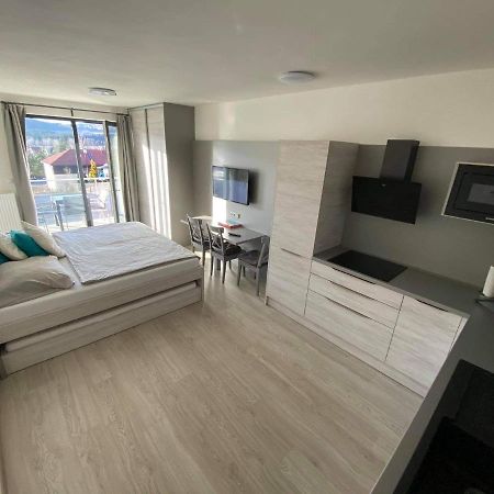 Apartman Denisa Lipno nad Vltavou Eksteriør billede