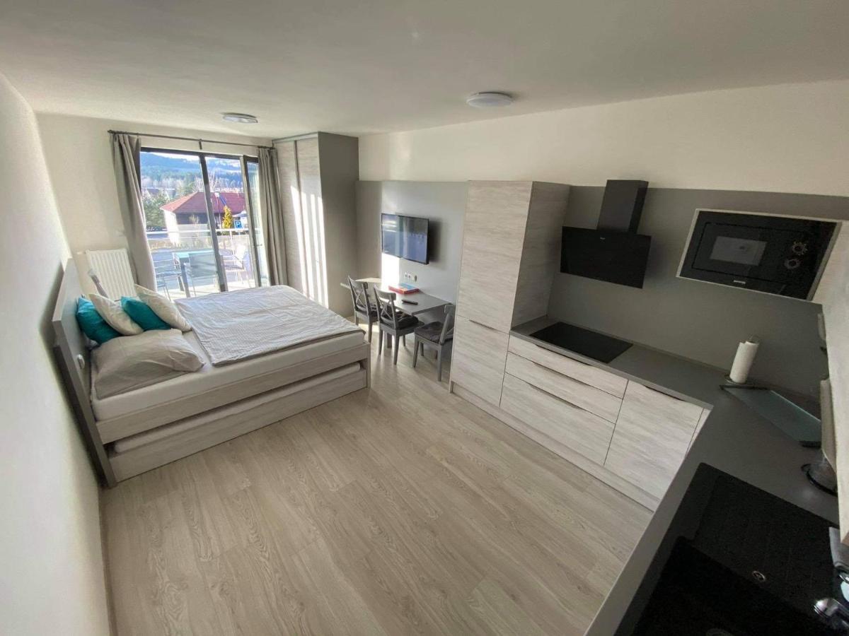 Apartman Denisa Lipno nad Vltavou Eksteriør billede