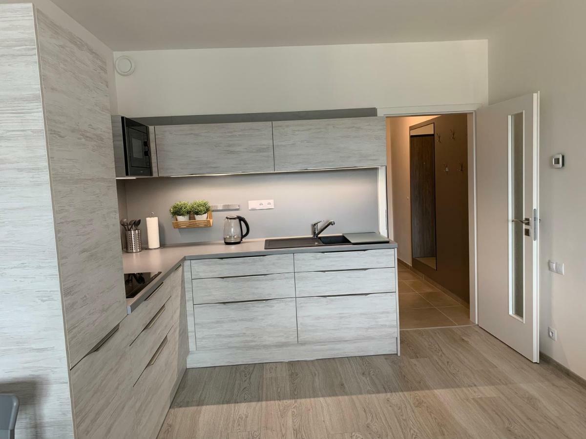 Apartman Denisa Lipno nad Vltavou Eksteriør billede