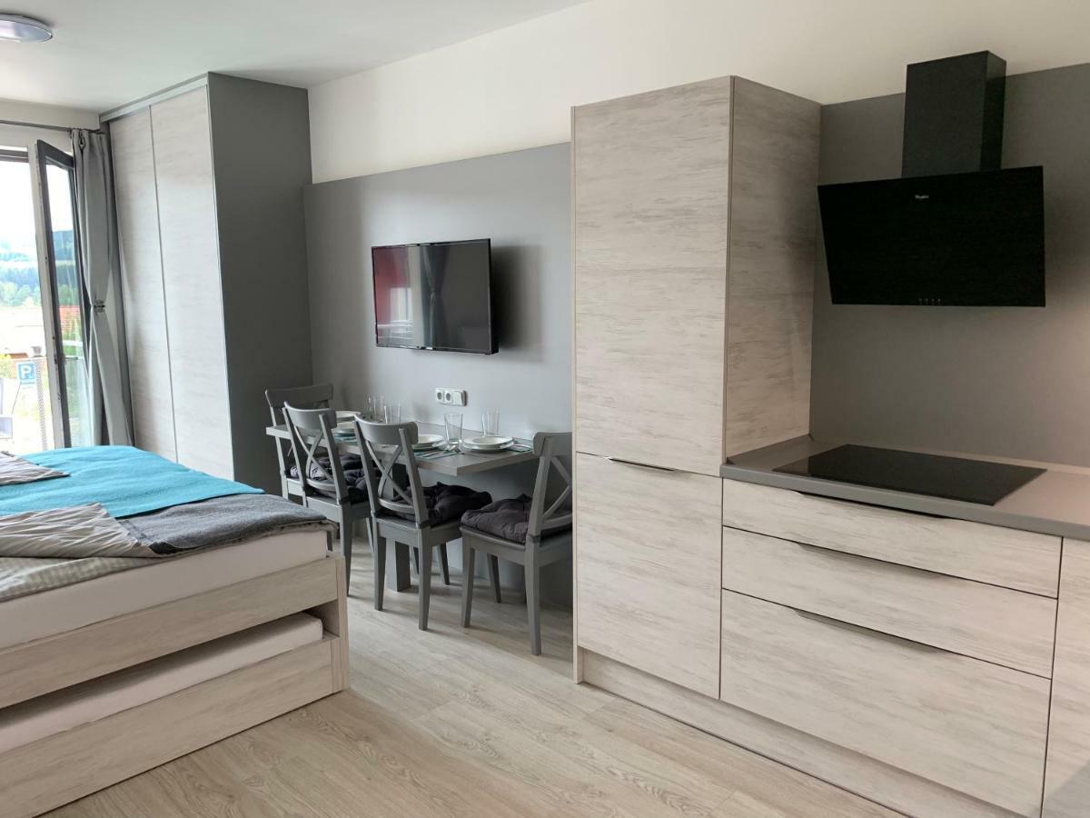 Apartman Denisa Lipno nad Vltavou Eksteriør billede