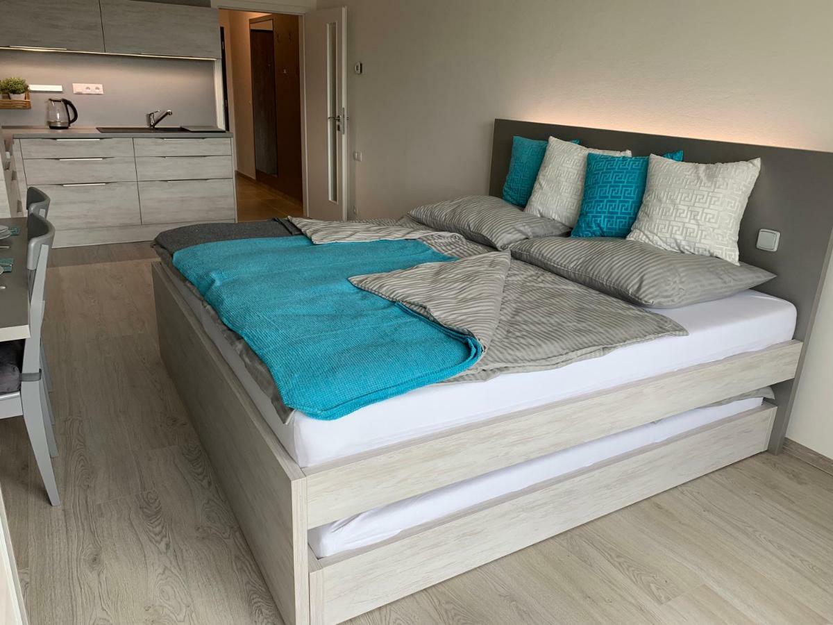 Apartman Denisa Lipno nad Vltavou Eksteriør billede
