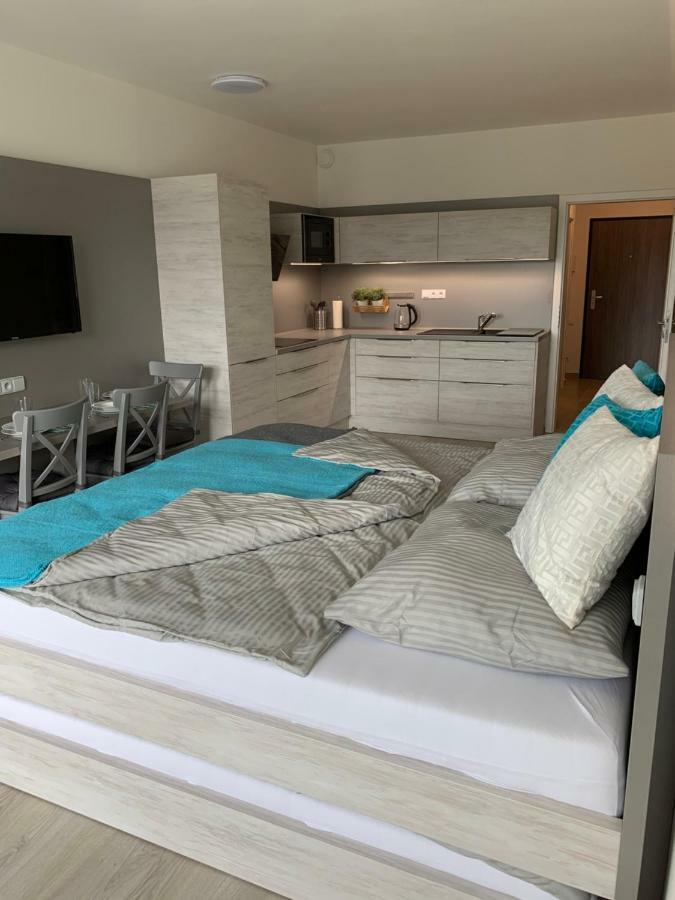 Apartman Denisa Lipno nad Vltavou Eksteriør billede