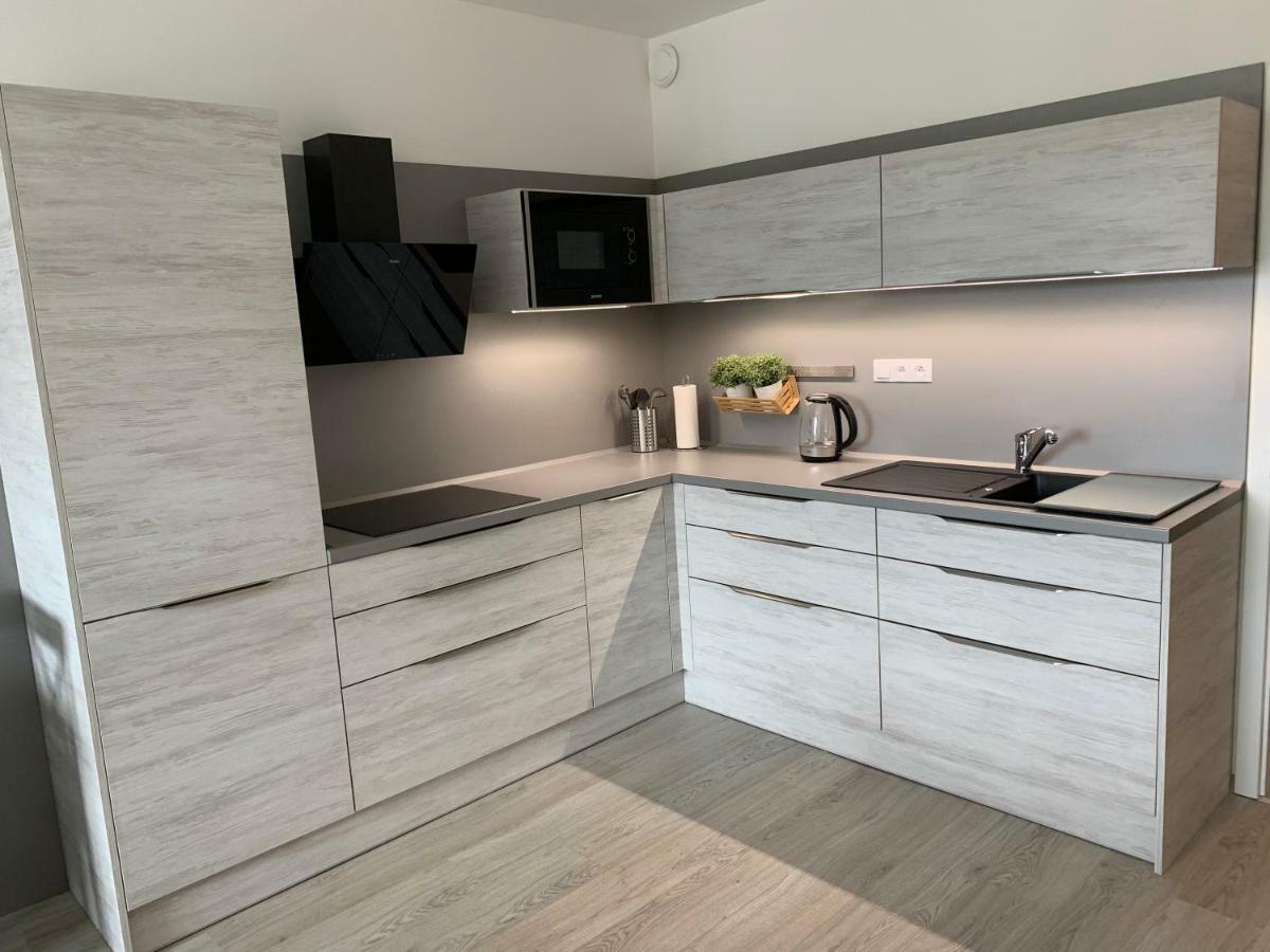 Apartman Denisa Lipno nad Vltavou Eksteriør billede