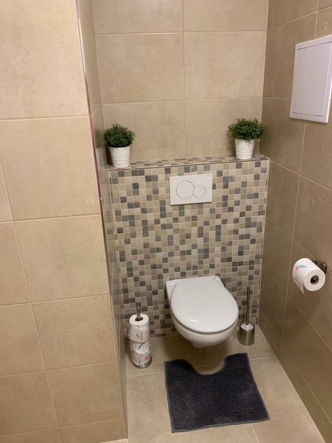 Apartman Denisa Lipno nad Vltavou Eksteriør billede